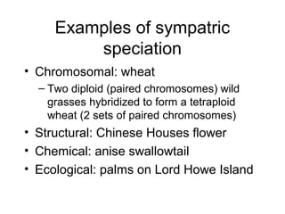 Examples of sympatric
speciation
• Chromosomal: wheat
– Two diploid (paired chromosomes) wild
grasses hybridized to form a tetraploid
wheat (2 sets of paired chromosomes)
• Structural: Chinese Houses flower
• Chemical: anise swallowtail
• Ecological: palms on Lord Howe Island
 