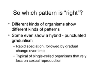 So which pattern is “right”?
• Different kinds of organisms show
different kinds of patterns
• Some even show a hybrid - punctuated
gradualism
– Rapid speciation, followed by gradual
change over time
– Typical of single-celled organisms that rely
less on sexual reproduction
 