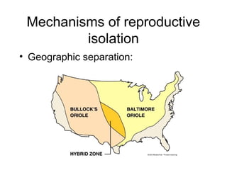 Mechanisms of reproductive
isolation
• Geographic separation:
 