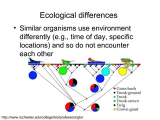 Ecological differences
• Similar organisms use environment
differently (e.g., time of day, specific
locations) and so do not encounter
each other
http://www.rochester.edu/college/bio/professors/glor
 
