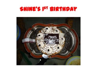 Shine’s 1st Birthday

 