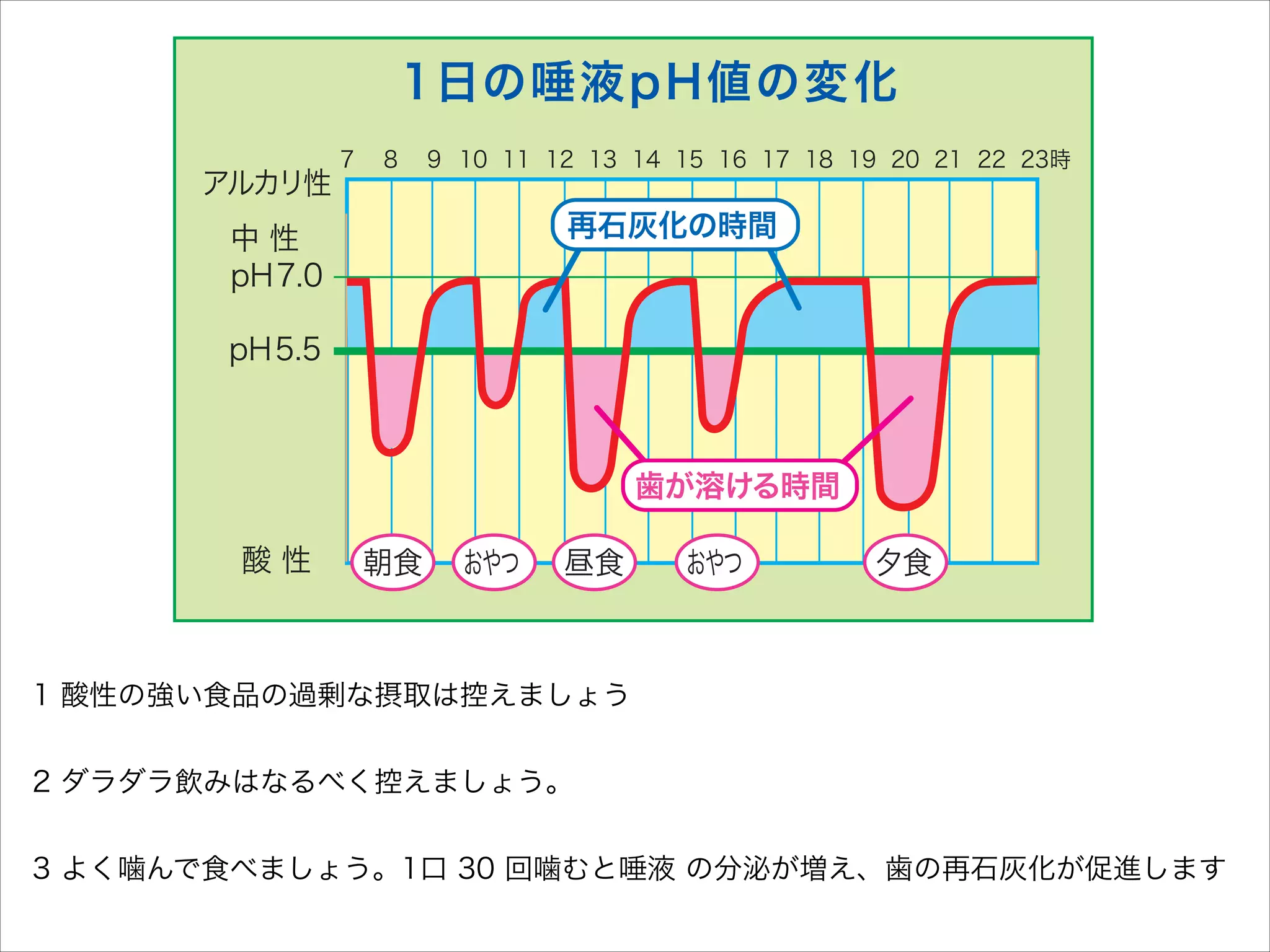 泌が促
歯はす
因の場

1日の唾液pH値の変化
アルカリ性

7  8  9 10 11 12 13 14 15 16 17 18 19 20 21 22 23時

再石灰化の時間

中性
pH7.0
pH5.5

唾液

歯が溶ける時間
酸性

朝食

おやつ

昼食

おやつ

夕食

1 酸性の強い食品の過剰な摂取は控えましょう

!
2 ダラダラ飲みはなるべく控えましょう。

!
3 よく噛んで食べましょう。1口 30 回噛むと唾液 の分泌が増え、歯の再石灰化が促進します

 