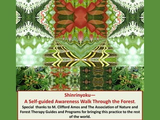 Shinrinyoku—
A Self-guided Awareness Walk Through the Forest.
Special thanks to M. Clifford Amos and The Association of Nature and
Forest Therapy Guides and Programs for bringing this practice to the rest
of the world.
 