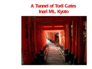 A Tunnel of Torii Gates Inari Mt., Kyoto 