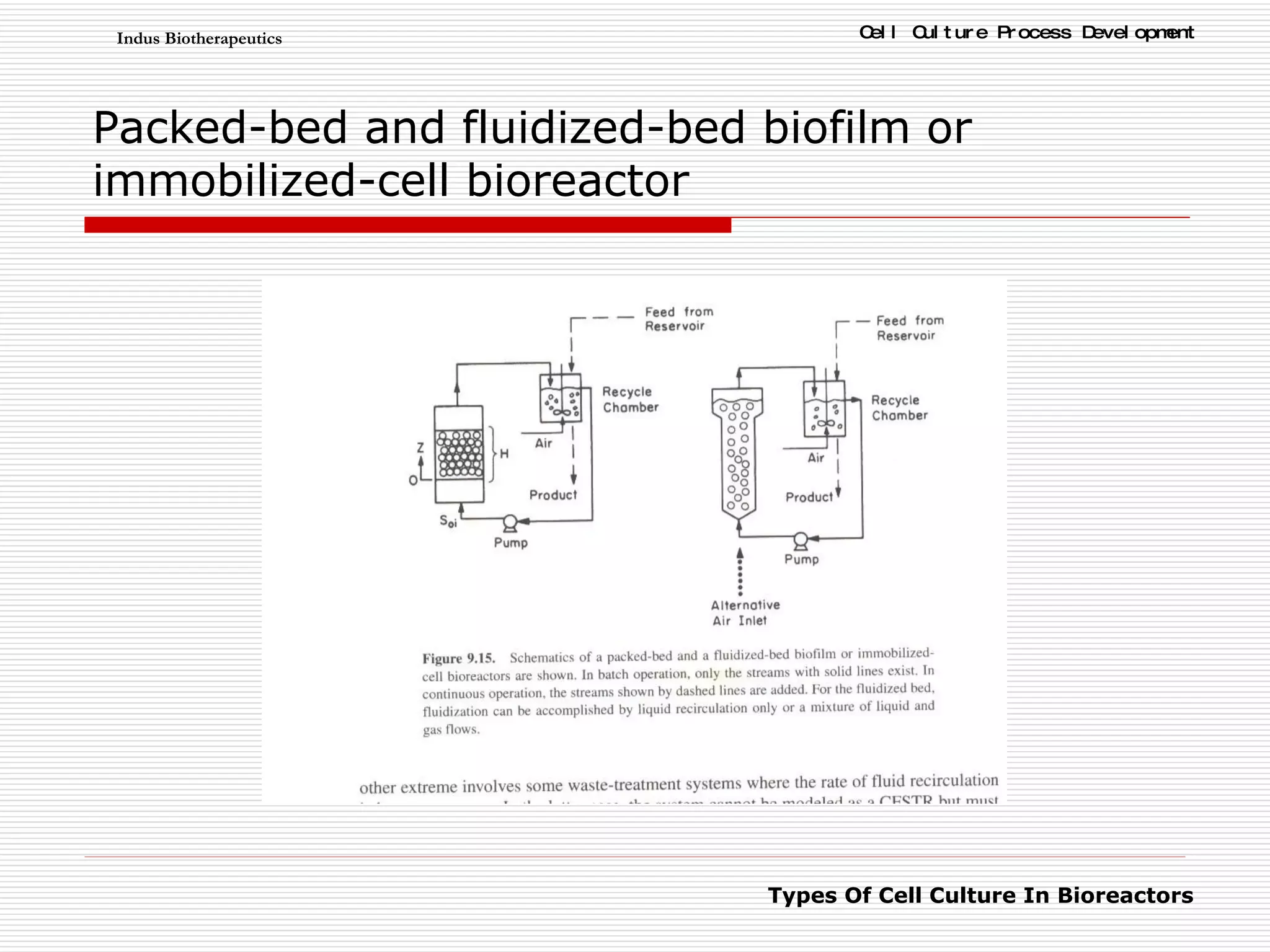 Packed-bed and fluidized-bed biofilm or immobilized-cell bioreactor 