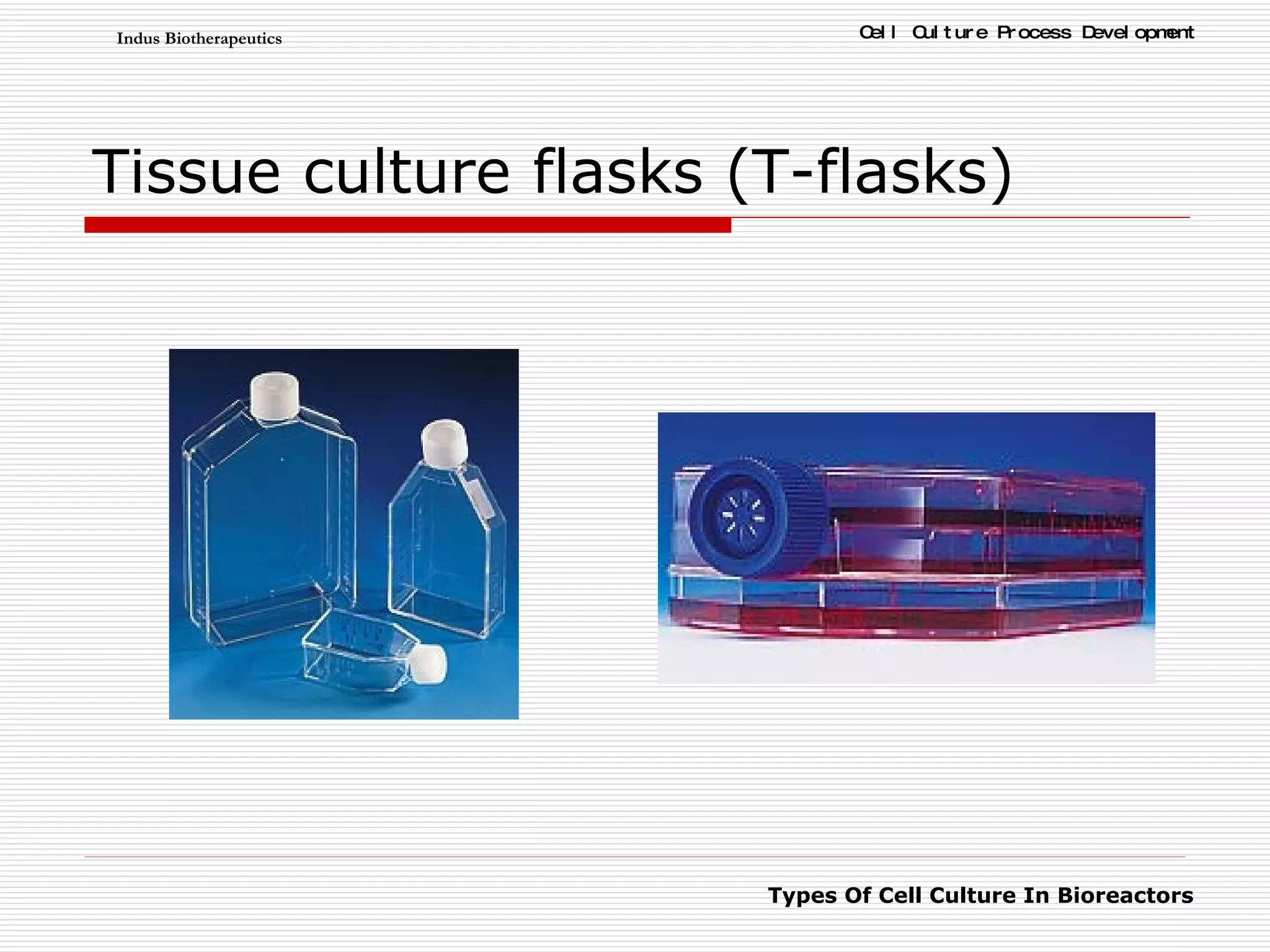 Tissue culture flasks (T-flasks) 