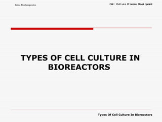TYPES OF CELL CULTURE IN BIOREACTORS  