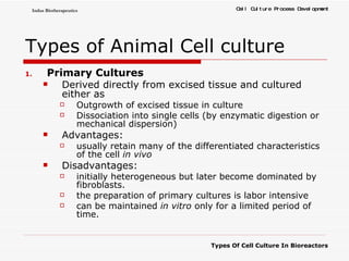 Types of Animal Cell culture Primary Cultures Derived directly from excised tissue and cultured either as  Outgrowth of excised tissue in culture  Dissociation into single cells (by enzymatic digestion or mechanical dispersion) Advantages: usually retain many of the differentiated characteristics of the cell  in vivo Disadvantages: initially heterogeneous but later become dominated by fibroblasts.  the preparation of primary cultures is labor intensive can be maintained  in vitro  only for a limited period of time. 