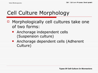 Cell Culture Morphology Morphologically cell cultures take one of two forms: Anchorage independent cells (Suspension culture) Anchorage dependent cells (Adherent Culture) 