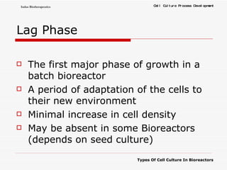 Lag Phase The first major phase of growth in a batch bioreactor A period of adaptation of the cells to their new environment  Minimal increase in cell density May be absent in some Bioreactors (depends on seed culture) 