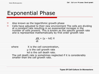 Exponential Phase Also known as the logarithmic growth phase  Cells have adjusted to their new environment The cells are dividing at a constant rate resulting in an exponential increase in the number of cells present. This is known as the specific growth rate and is represented mathematically by first order growth rate dX  = (μ – kd) X dt  where   X is the cell concentration, μ is the cell growth rate kd is the cell death rate.  The cell death rate is sometimes neglected if it is considerably smaller than the cell growth rate.  