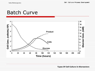 Batch Curve 