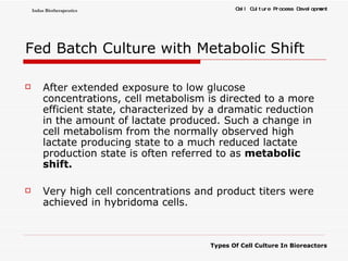 Fed Batch Culture with Metabolic Shift After extended exposure to low glucose concentrations, cell metabolism is directed to a more efficient state, characterized by a dramatic reduction in the amount of lactate produced. Such a change in cell metabolism from the normally observed high lactate producing state to a much reduced lactate production state is often referred to as  metabolic shift. Very high cell concentrations and product titers were achieved in hybridoma cells.  