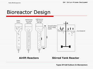 Bioreactor Design Airlift Reactors  Stirred Tank Reactor 
