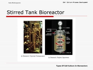 Stirred Tank Bioreactor 
