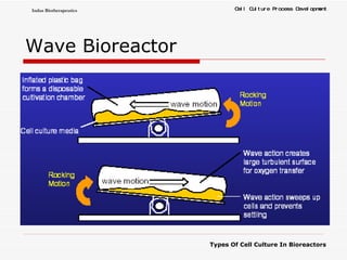 Wave Bioreactor 