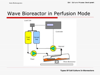 Wave Bioreactor in  Perfusion Mode 