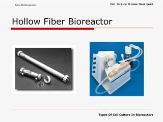Hollow Fiber Bioreactor 