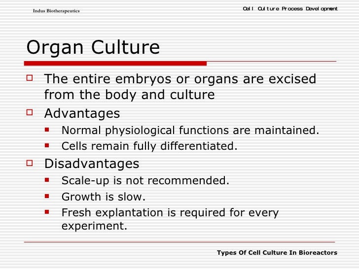 Cell Culture BASICS