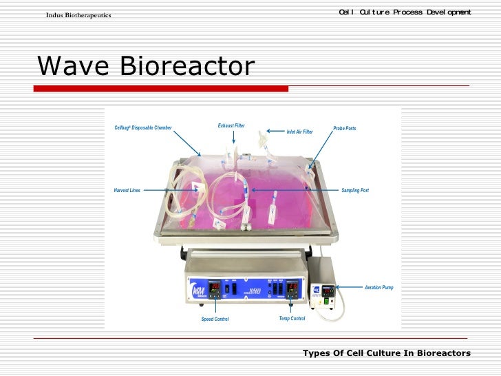 Cell Culture BASICS