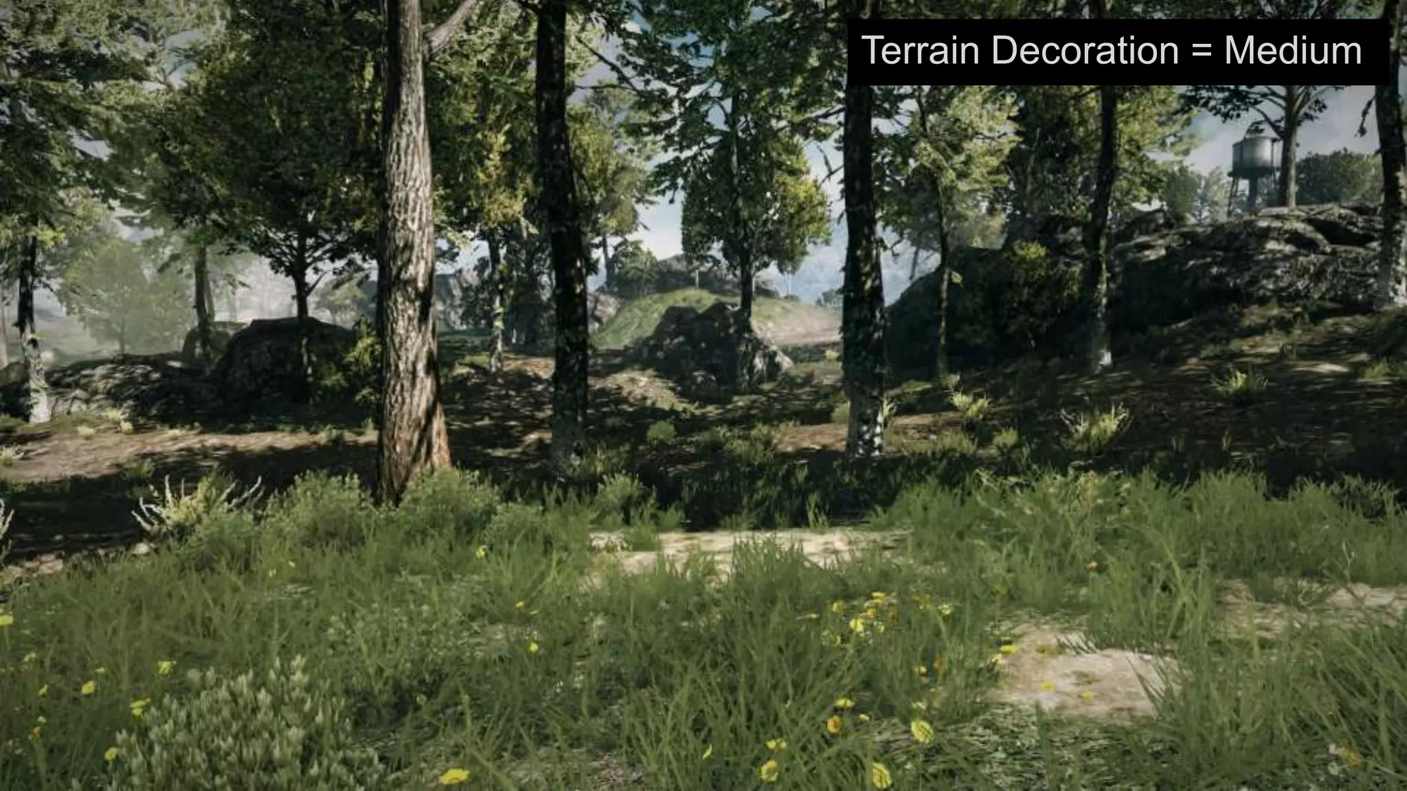 Terrain Decoration = Medium
 