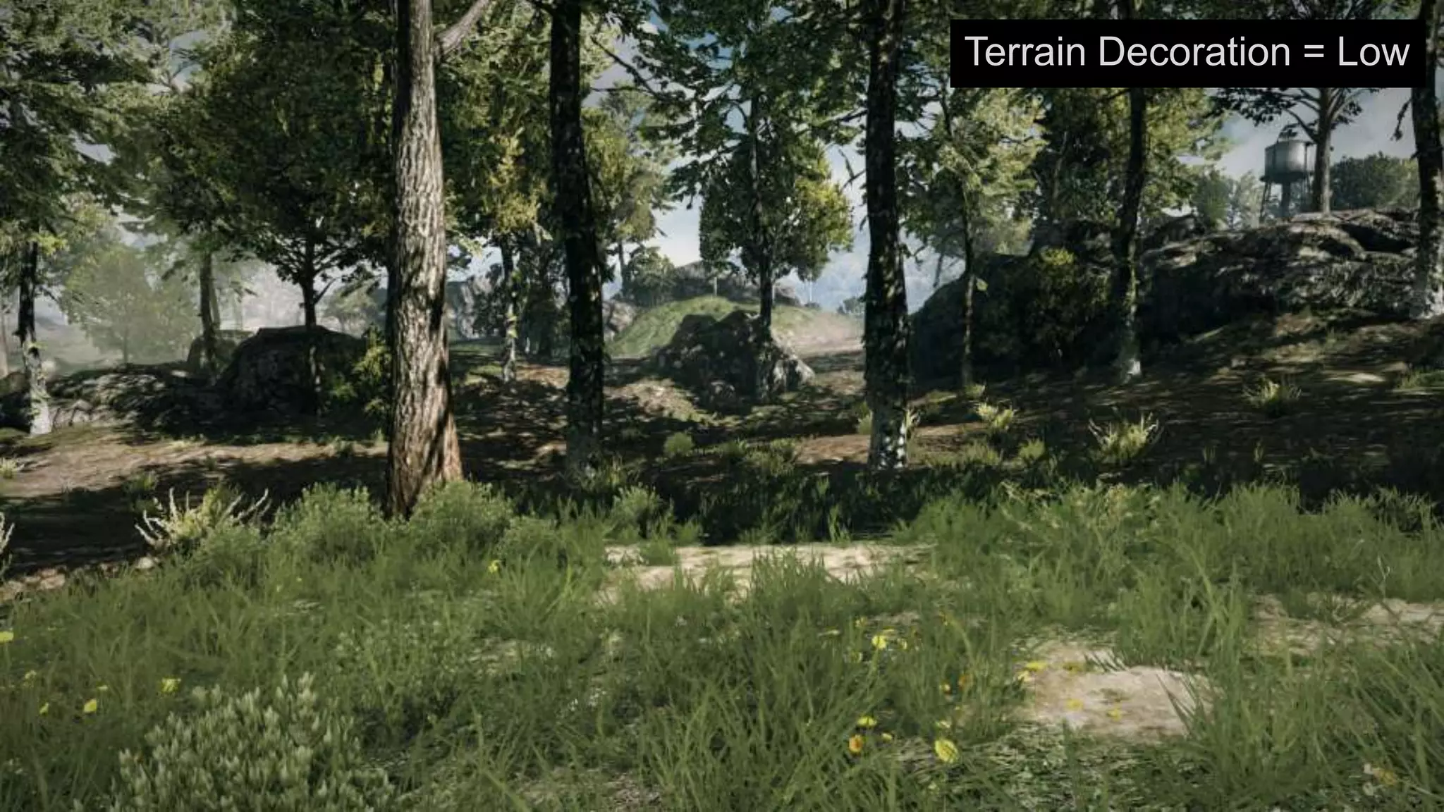 Terrain Decoration = Low
 