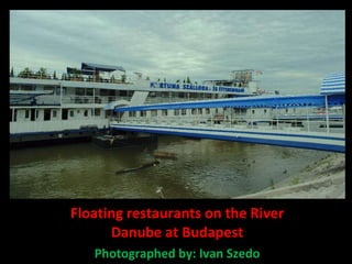 Floating restaurants on the River Danube at Budapest Photographed by: Ivan Szedo 