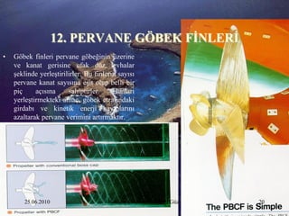 12. PERVANE GÖBEK FĠNLERĠ
•   Göbek finleri pervane göbeğinin üzerine
    ve kanat gerisine ufak düz levhalar
    şeklinde yerleştirilirler. Bu finlerin sayısı
    pervane kanat sayısına eşit olup belli bir
    piç     açısına     sahiptirler.     Bunları
    yerleştirmekteki amaç, göbek etrafındaki
    girdabı ve kinetik enerji kayıplarını
    azaltarak pervane verimini artırmaktır.




        25.06.2010                     Sevilay CAN 2008&2009 Güz   20
 