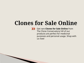 Clones for Sale Online
Get rare Clones for Sale Online from
The Clone Conservatory! All of our
products are perfect for medicinal
purposes and personal usage. Shop with
us now!
 