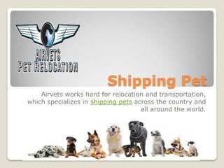 Shipping Pet
Airvets works hard for relocation and transportation,
which specializes in shipping pets across the country and
all around the world.
 