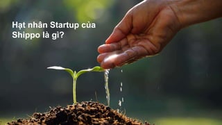 Hạt nhân Startup của
Shippo là gì?
 
