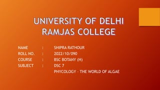 NAME : SHIPRA RATHOUR
ROLL NO. : 2022/10/090
COURSE : BSC BOTANY (H)
SUBJECT : DSC 7
PHYCOLOGY – THE WORLD OF ALGAE
 