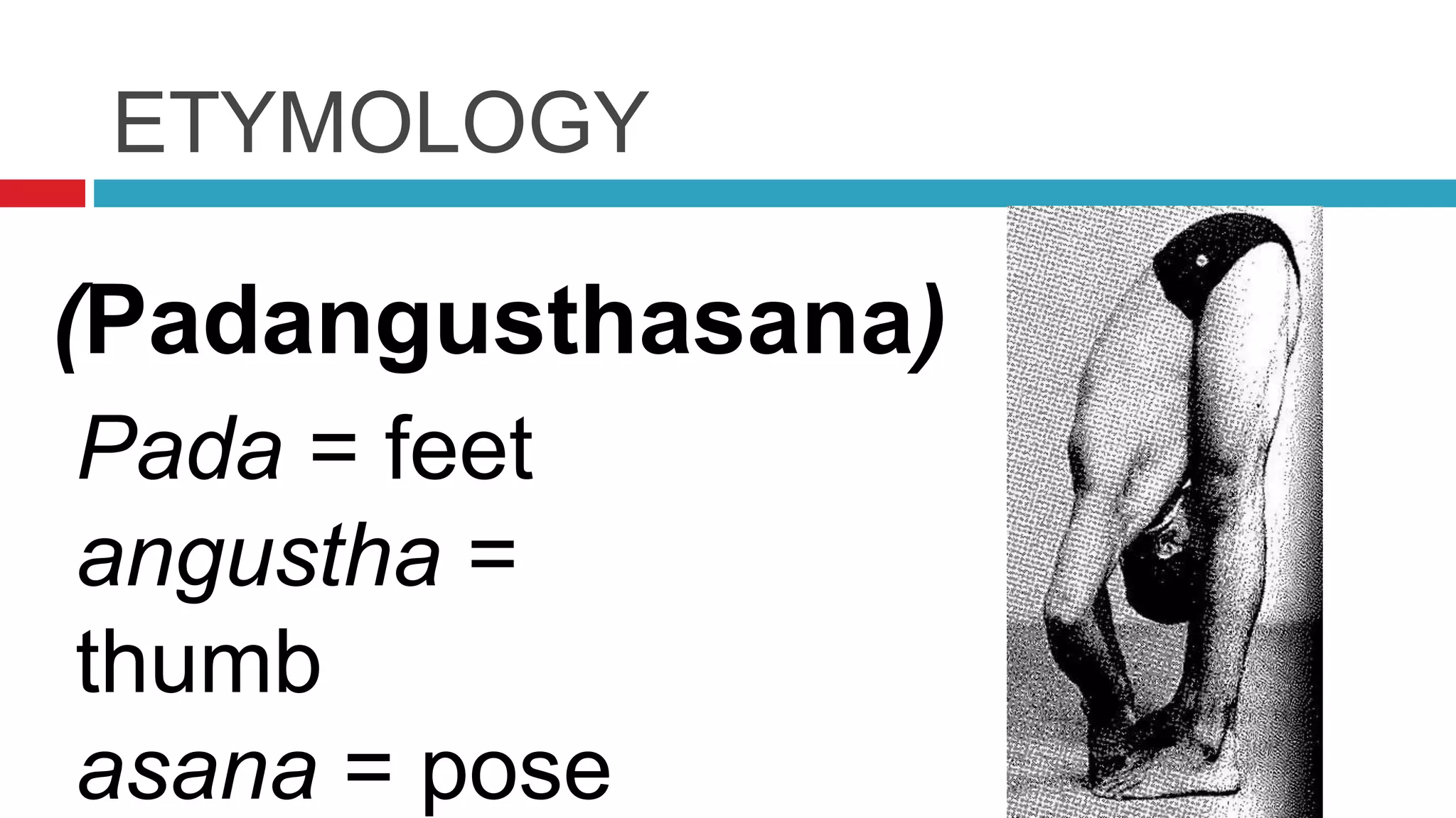 ETYMOLOGY
(Padangusthasana)
Pada = feet
angustha =
thumb
asana = pose
 