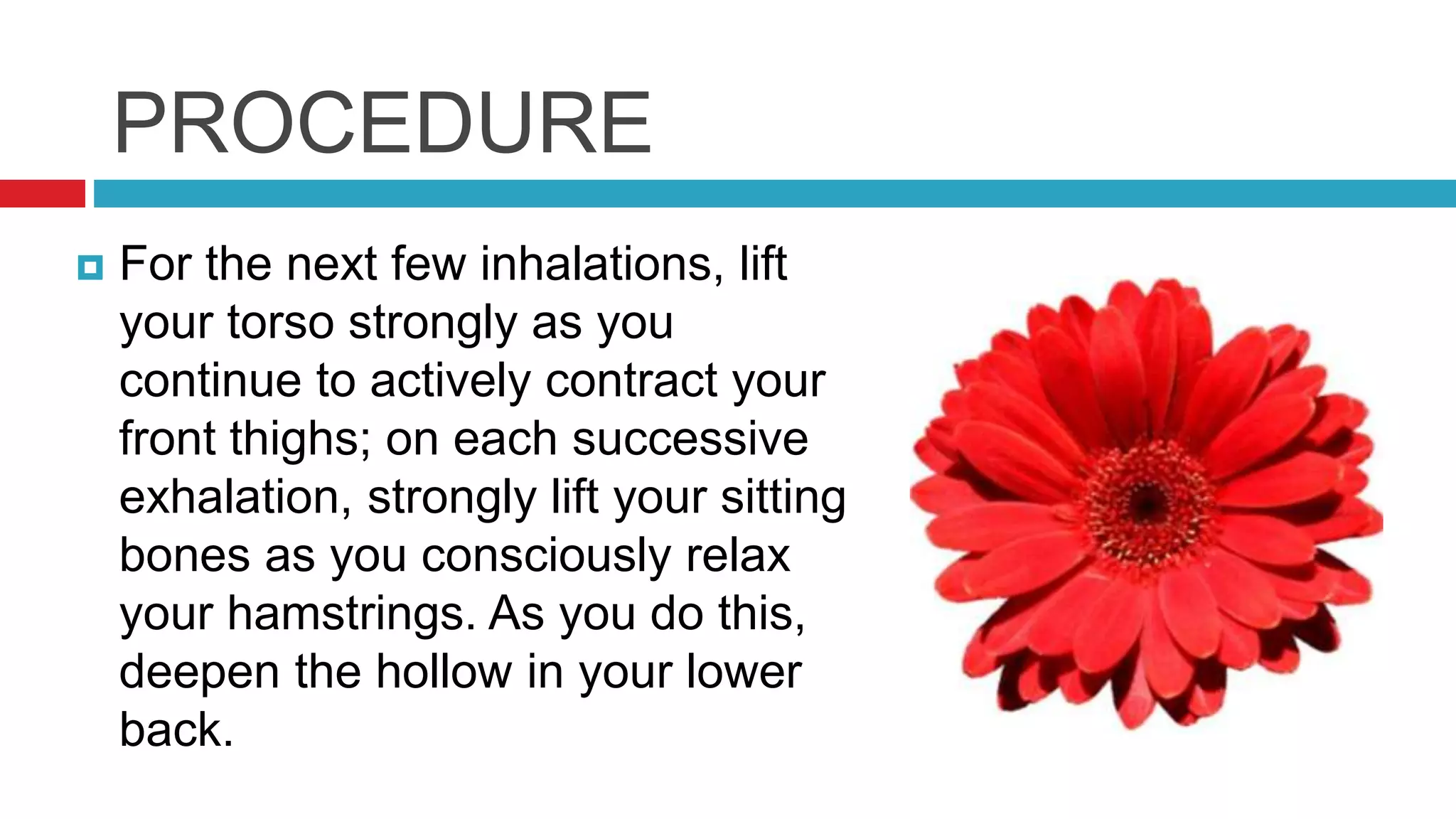PROCEDURE
 For the next few inhalations, lift
your torso strongly as you
continue to actively contract your
front thighs; on each successive
exhalation, strongly lift your sitting
bones as you consciously relax
your hamstrings. As you do this,
deepen the hollow in your lower
back.
 