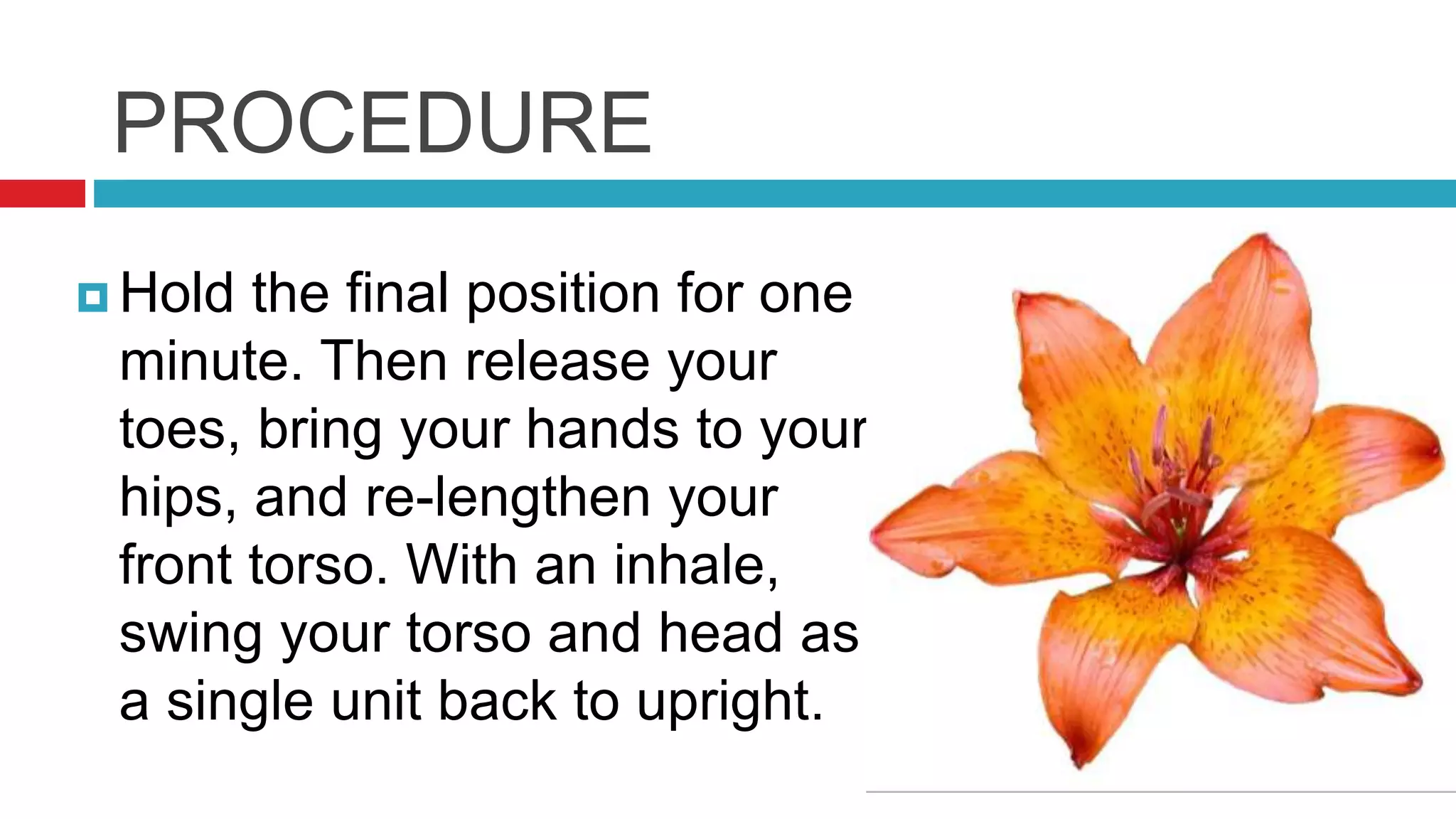 PROCEDURE
 Hold the final position for one
minute. Then release your
toes, bring your hands to your
hips, and re-lengthen your
front torso. With an inhale,
swing your torso and head as
a single unit back to upright.
 