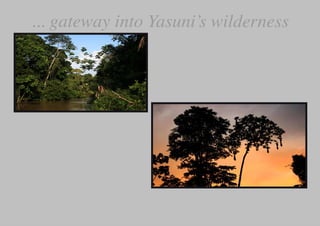 ... gateway into Yasuni’s wilderness
 