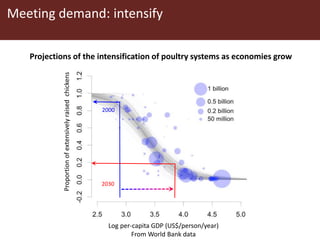 Food of animal origin: Demand and diversity