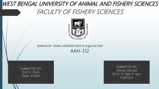 WEST BENGAL UNIVERSITY OF ANIMAL AND FISHERY SCIENCES
SEMINAR ON : HERBAL REMEDIES USED IN AQUACULTURE
AAH-312
SUBMITTED TO:
Prof. G. Dash
Dept. of AAH
SUBMITTED BY:
Shirsak Mondal
B.F.Sc 3rd Year 1st sem
F/2015/31
 