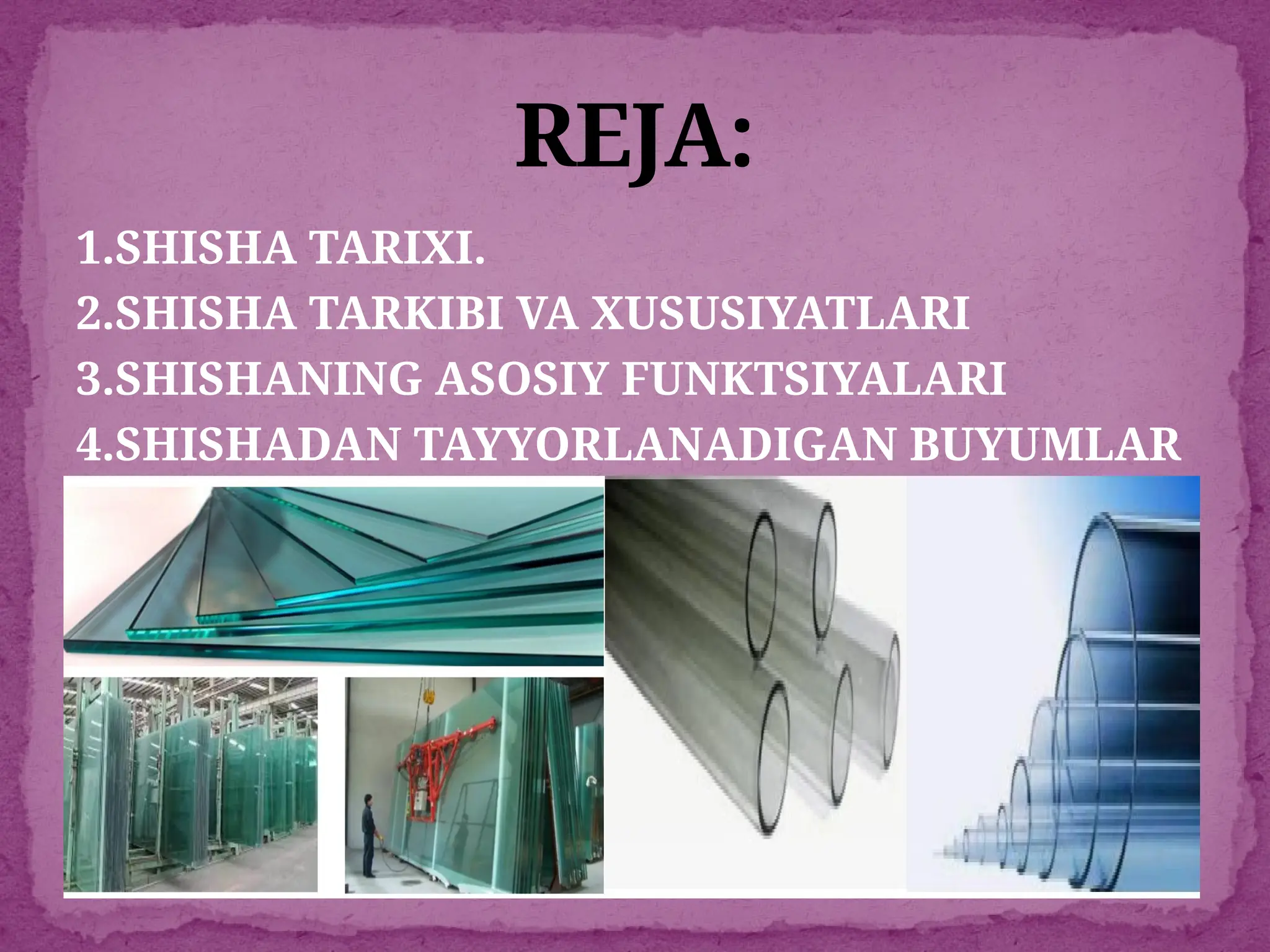 Dunyo foto korgazmasidagi eng katta mushuk