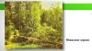 Повалене дерево
 