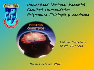 Universidad Nacional Yacambú
Facultad Humanidades
Asignatura Fisiología y conducta
Naimar Castellano
CI.24 790 993
Barinas Febrero 2016
 