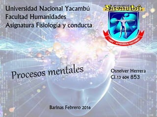 Universidad Nacional Yacambú
Facultad Humanidades
Asignatura Fisiología y conducta
Osneiver Herrera
CI.13 604 853
Barinas Febrero 2016
 