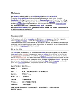 Morfología
Los gusanos adultos miden 10-12 mm (el macho) y 12-16 mm (la hembra).
Presentan simetría bilateral; tienen ventosas fijadoras tanto orales como ventrales
(acetábulo); tubo digestivo es incompleto, con boca, esófago, crura intestinal bifurcada, y
carecen de ano; el aparato reproductor tienen un número de testículos variable lo cual tiene
carácter taxonómico (sirve para distinguir especies), canal eyaculador, vesícula seminal,
etc., poro genital masculino y femenino, ovario útero. Tegumento
sincitial metabólicamente activo. Sistema circulatorio, para el cual extraen componentes de
la hemoglobina de su hospedador
4
Reproducción
A diferencia del resto de las trematodas, los Schistosoma son dioicos, es decir, hay separación
entre el macho y la hembra. Además, tienen dimorfismo sexual, el macho siendo
considerablemente mayor que la hembra. De característica peculiar es la tendencia del macho de
encapsular a la hembra dentro de un "canal ginecofórico" por la duración de sus vidas adultas. En
esa condición se reproducen de manera sexual.
Ciclo de vida
Los huevos son excretados por los humanos en las heces, luego del cual, en el agua, se liberan
las larvas llamadas miracidio. Estas penetran la piel del molusco dentro del cual se transforman
en esporoquistes madres. Llenas en su interior de células germinativas, son capaces de generar
más de 250 esporoquistes hijos, los cuales migran al hepato-páncreas y originan docenas de miles
de cercarias. La mayoría mueren antes de 24 horas, otras son liberadas del molusco y penetran la
piel del humano gracias a sus movimientos y secreciones líticas. Según la especie, en el hombre
quien es el hospedador definitivo, completan su ciclo de vida en varios órganos.
CLASIFICACION CIENTIFICA :
REINO : ANIMALIA.
FILO : PLATYTHELMINTHES (PLANTELMINTO).
CLASE : TREMATODA.
SUBCLASE ; DIGENEA.
ORDEN : STRIGEIDIDA.
FAMILIA : SCHISTOSOMATIDAE.
GENERO : SHISTOSOMA.
TRATAMIENTO MEDICO : MEBENDAZOL , ALBENDAZOL , PRAZICUANTEL,
METROFONATO.
 