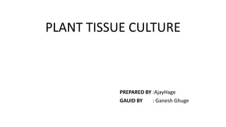 PLANT TISSUE CULTURE
PREPARED BY :AjayHage
GAUID BY : Ganesh Ghuge
 