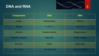 concept of gene and protein synthesis | PPTX
