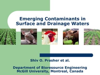 Emerging Contaminants in Surface and Drainage Waters Shiv O. Prasher et al. Department of Bioresource Engineering McGill University, Montreal, Canada 