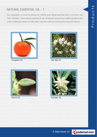 A Member of
Herbal Extracts Herbal Oil Perfumery Compound Traditional Indian Attars Florali Absolute
Waxes & Rose Water Pure Herbs Essential Oil Natural Essential Oil Natural Essential Oil -
Z Natural Essential Oil - Y Natural Essential Oil - W Natural Essential Oil - V Natural
Essential Oil - T Natural Essential Oil - S Natural Essential Oil - R Natural Essential Oil -
O Natural Essential Oil - P Natural Essential Oil - N Natural Essential Oil - M Natural
Essential Oil - L Natural Essential Oil - K Natural Essential Oil - J Natural Essential Oil -
H Natural Essential Oil - F Natural Essential Oil - G Natural Essential Oil - C Natural
Essential Oil - B Natural Essential Oil - A Herbal Extracts Herbal Oil Perfumery
Compound Traditional Indian Attars Florali Absolute Waxes & Rose Water Pure
Herbs Essential Oil Natural Essential Oil Natural Essential Oil - Z Natural Essential Oil -
Y Natural Essential Oil - W Natural Essential Oil - V Natural Essential Oil - T Natural
Essential Oil - S Natural Essential Oil - R Natural Essential Oil - O Natural Essential Oil -
P Natural Essential Oil - N Natural Essential Oil - M Natural Essential Oil - L Natural
Essential Oil - K Natural Essential Oil - J Natural Essential Oil - H Natural Essential Oil -
F Natural Essential Oil - G Natural Essential Oil - C Natural Essential Oil - B Natural
Essential Oil - A Herbal Extracts Herbal Oil Perfumery Compound Traditional Indian
Attars Florali Absolute Waxes & Rose Water Pure Herbs Essential Oil Natural Essential
Oil Natural Essential Oil - Z Natural Essential Oil - Y Natural Essential Oil - W Natural
Essential Oil - V Natural Essential Oil - T Natural Essential Oil - S Natural Essential Oil -
R Natural Essential Oil - O Natural Essential Oil - P Natural Essential Oil - N Natural
Essential Oil - M Natural Essential Oil - L Natural Essential Oil - K Natural Essential Oil -
J Natural Essential Oil - H Natural Essential Oil - F Natural Essential Oil - G Natural
Essential Oil - C Natural Essential Oil - B Natural Essential Oil - A Herbal Extracts Herbal
Oil Perfumery Compound Traditional Indian Attars Florali Absolute Waxes & Rose
Water Pure Herbs Essential Oil Natural Essential Oil Natural Essential Oil - Z Natural
Essential Oil - Y Natural Essential Oil - W Natural Essential Oil - V Natural Essential Oil -
T Natural Essential Oil - S Natural Essential Oil - R Natural Essential Oil - O Natural
Essential Oil - P Natural Essential Oil - N Natural Essential Oil - M Natural Essential Oil -
L Natural Essential Oil - K Natural Essential Oil - J Natural Essential Oil - H Natural
Essential Oil - F Natural Essential Oil - G Natural Essential Oil - C Natural Essential Oil -
B Natural Essential Oil - A Herbal Extracts Herbal Oil Perfumery Compound Traditional
Indian Attars Florali Absolute Waxes & Rose Water Pure Herbs Essential Oil Natural
Essential Oil Natural Essential Oil - Z Natural Essential Oil - Y Natural Essential Oil -
NATURAL ESSENTIAL OIL - T
Our organization is known worldwide for offering pure natural essential oils to cosmetics and
other industries. These natural essential oils are developed taking finest quality ingredients and
under certified processes to help clients use them without worrying about any side effects.
Tangerine Oil Tea Tree Oil
Thyme Oil Turmeric Oil
Products
 