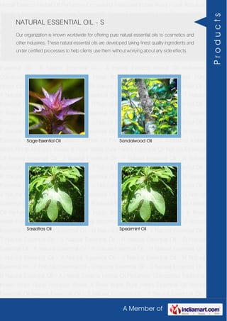 A Member of
Herbal Extracts Herbal Oil Perfumery Compound Traditional Indian Attars Florali Absolute
Waxes & Rose Water Pure Herbs Essential Oil Natural Essential Oil Natural Essential Oil -
Z Natural Essential Oil - Y Natural Essential Oil - W Natural Essential Oil - V Natural
Essential Oil - T Natural Essential Oil - S Natural Essential Oil - R Natural Essential Oil -
O Natural Essential Oil - P Natural Essential Oil - N Natural Essential Oil - M Natural
Essential Oil - L Natural Essential Oil - K Natural Essential Oil - J Natural Essential Oil -
H Natural Essential Oil - F Natural Essential Oil - G Natural Essential Oil - C Natural
Essential Oil - B Natural Essential Oil - A Herbal Extracts Herbal Oil Perfumery
Compound Traditional Indian Attars Florali Absolute Waxes & Rose Water Pure
Herbs Essential Oil Natural Essential Oil Natural Essential Oil - Z Natural Essential Oil -
Y Natural Essential Oil - W Natural Essential Oil - V Natural Essential Oil - T Natural
Essential Oil - S Natural Essential Oil - R Natural Essential Oil - O Natural Essential Oil -
P Natural Essential Oil - N Natural Essential Oil - M Natural Essential Oil - L Natural
Essential Oil - K Natural Essential Oil - J Natural Essential Oil - H Natural Essential Oil -
F Natural Essential Oil - G Natural Essential Oil - C Natural Essential Oil - B Natural
Essential Oil - A Herbal Extracts Herbal Oil Perfumery Compound Traditional Indian
Attars Florali Absolute Waxes & Rose Water Pure Herbs Essential Oil Natural Essential
Oil Natural Essential Oil - Z Natural Essential Oil - Y Natural Essential Oil - W Natural
Essential Oil - V Natural Essential Oil - T Natural Essential Oil - S Natural Essential Oil -
R Natural Essential Oil - O Natural Essential Oil - P Natural Essential Oil - N Natural
Essential Oil - M Natural Essential Oil - L Natural Essential Oil - K Natural Essential Oil -
J Natural Essential Oil - H Natural Essential Oil - F Natural Essential Oil - G Natural
Essential Oil - C Natural Essential Oil - B Natural Essential Oil - A Herbal Extracts Herbal
Oil Perfumery Compound Traditional Indian Attars Florali Absolute Waxes & Rose
Water Pure Herbs Essential Oil Natural Essential Oil Natural Essential Oil - Z Natural
Essential Oil - Y Natural Essential Oil - W Natural Essential Oil - V Natural Essential Oil -
T Natural Essential Oil - S Natural Essential Oil - R Natural Essential Oil - O Natural
Essential Oil - P Natural Essential Oil - N Natural Essential Oil - M Natural Essential Oil -
L Natural Essential Oil - K Natural Essential Oil - J Natural Essential Oil - H Natural
Essential Oil - F Natural Essential Oil - G Natural Essential Oil - C Natural Essential Oil -
B Natural Essential Oil - A Herbal Extracts Herbal Oil Perfumery Compound Traditional
Indian Attars Florali Absolute Waxes & Rose Water Pure Herbs Essential Oil Natural
Essential Oil Natural Essential Oil - Z Natural Essential Oil - Y Natural Essential Oil -
NATURAL ESSENTIAL OIL - S
Our organization is known worldwide for offering pure natural essential oils to cosmetics and
other industries. These natural essential oils are developed taking finest quality ingredients and
under certified processes to help clients use them without worrying about any side effects.
Sage Essential Oil Sandalwood Oil
Sassafras Oil Spearmint Oil
Products
 