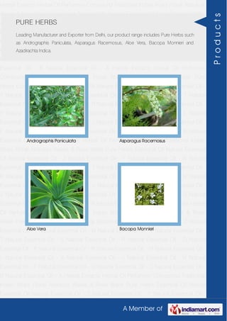 A Member of
Herbal Extracts Herbal Oil Perfumery Compound Traditional Indian Attars Florali Absolute
Waxes & Rose Water Pure Herbs Essential Oil Natural Essential Oil Natural Essential Oil -
Z Natural Essential Oil - Y Natural Essential Oil - W Natural Essential Oil - V Natural
Essential Oil - T Natural Essential Oil - S Natural Essential Oil - R Natural Essential Oil -
O Natural Essential Oil - P Natural Essential Oil - N Natural Essential Oil - M Natural
Essential Oil - L Natural Essential Oil - K Natural Essential Oil - J Natural Essential Oil -
H Natural Essential Oil - F Natural Essential Oil - G Natural Essential Oil - C Natural
Essential Oil - B Natural Essential Oil - A Herbal Extracts Herbal Oil Perfumery
Compound Traditional Indian Attars Florali Absolute Waxes & Rose Water Pure
Herbs Essential Oil Natural Essential Oil Natural Essential Oil - Z Natural Essential Oil -
Y Natural Essential Oil - W Natural Essential Oil - V Natural Essential Oil - T Natural
Essential Oil - S Natural Essential Oil - R Natural Essential Oil - O Natural Essential Oil -
P Natural Essential Oil - N Natural Essential Oil - M Natural Essential Oil - L Natural
Essential Oil - K Natural Essential Oil - J Natural Essential Oil - H Natural Essential Oil -
F Natural Essential Oil - G Natural Essential Oil - C Natural Essential Oil - B Natural
Essential Oil - A Herbal Extracts Herbal Oil Perfumery Compound Traditional Indian
Attars Florali Absolute Waxes & Rose Water Pure Herbs Essential Oil Natural Essential
Oil Natural Essential Oil - Z Natural Essential Oil - Y Natural Essential Oil - W Natural
Essential Oil - V Natural Essential Oil - T Natural Essential Oil - S Natural Essential Oil -
R Natural Essential Oil - O Natural Essential Oil - P Natural Essential Oil - N Natural
Essential Oil - M Natural Essential Oil - L Natural Essential Oil - K Natural Essential Oil -
J Natural Essential Oil - H Natural Essential Oil - F Natural Essential Oil - G Natural
Essential Oil - C Natural Essential Oil - B Natural Essential Oil - A Herbal Extracts Herbal
Oil Perfumery Compound Traditional Indian Attars Florali Absolute Waxes & Rose
Water Pure Herbs Essential Oil Natural Essential Oil Natural Essential Oil - Z Natural
Essential Oil - Y Natural Essential Oil - W Natural Essential Oil - V Natural Essential Oil -
T Natural Essential Oil - S Natural Essential Oil - R Natural Essential Oil - O Natural
Essential Oil - P Natural Essential Oil - N Natural Essential Oil - M Natural Essential Oil -
L Natural Essential Oil - K Natural Essential Oil - J Natural Essential Oil - H Natural
Essential Oil - F Natural Essential Oil - G Natural Essential Oil - C Natural Essential Oil -
B Natural Essential Oil - A Herbal Extracts Herbal Oil Perfumery Compound Traditional
Indian Attars Florali Absolute Waxes & Rose Water Pure Herbs Essential Oil Natural
Essential Oil Natural Essential Oil - Z Natural Essential Oil - Y Natural Essential Oil -
PURE HERBS
Leading Manufacturer and Exporter from Delhi, our product range includes Pure Herbs such
as Andrographis Paniculata, Asparagus Racemosus, Aloe Vera, Bacopa Monnieri and
Azadirachta Indica.
Andrographis Paniculata Asparagus Racemosus
Aloe Vera Bacopa Monnieri
Products
 