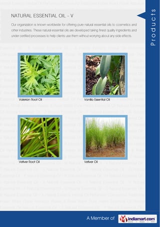 A Member of
Herbal Extracts Herbal Oil Perfumery Compound Traditional Indian Attars Florali Absolute
Waxes & Rose Water Pure Herbs Essential Oil Natural Essential Oil Natural Essential Oil -
Z Natural Essential Oil - Y Natural Essential Oil - W Natural Essential Oil - V Natural
Essential Oil - T Natural Essential Oil - S Natural Essential Oil - R Natural Essential Oil -
O Natural Essential Oil - P Natural Essential Oil - N Natural Essential Oil - M Natural
Essential Oil - L Natural Essential Oil - K Natural Essential Oil - J Natural Essential Oil -
H Natural Essential Oil - F Natural Essential Oil - G Natural Essential Oil - C Natural
Essential Oil - B Natural Essential Oil - A Herbal Extracts Herbal Oil Perfumery
Compound Traditional Indian Attars Florali Absolute Waxes & Rose Water Pure
Herbs Essential Oil Natural Essential Oil Natural Essential Oil - Z Natural Essential Oil -
Y Natural Essential Oil - W Natural Essential Oil - V Natural Essential Oil - T Natural
Essential Oil - S Natural Essential Oil - R Natural Essential Oil - O Natural Essential Oil -
P Natural Essential Oil - N Natural Essential Oil - M Natural Essential Oil - L Natural
Essential Oil - K Natural Essential Oil - J Natural Essential Oil - H Natural Essential Oil -
F Natural Essential Oil - G Natural Essential Oil - C Natural Essential Oil - B Natural
Essential Oil - A Herbal Extracts Herbal Oil Perfumery Compound Traditional Indian
Attars Florali Absolute Waxes & Rose Water Pure Herbs Essential Oil Natural Essential
Oil Natural Essential Oil - Z Natural Essential Oil - Y Natural Essential Oil - W Natural
Essential Oil - V Natural Essential Oil - T Natural Essential Oil - S Natural Essential Oil -
R Natural Essential Oil - O Natural Essential Oil - P Natural Essential Oil - N Natural
Essential Oil - M Natural Essential Oil - L Natural Essential Oil - K Natural Essential Oil -
J Natural Essential Oil - H Natural Essential Oil - F Natural Essential Oil - G Natural
Essential Oil - C Natural Essential Oil - B Natural Essential Oil - A Herbal Extracts Herbal
Oil Perfumery Compound Traditional Indian Attars Florali Absolute Waxes & Rose
Water Pure Herbs Essential Oil Natural Essential Oil Natural Essential Oil - Z Natural
Essential Oil - Y Natural Essential Oil - W Natural Essential Oil - V Natural Essential Oil -
T Natural Essential Oil - S Natural Essential Oil - R Natural Essential Oil - O Natural
Essential Oil - P Natural Essential Oil - N Natural Essential Oil - M Natural Essential Oil -
L Natural Essential Oil - K Natural Essential Oil - J Natural Essential Oil - H Natural
Essential Oil - F Natural Essential Oil - G Natural Essential Oil - C Natural Essential Oil -
B Natural Essential Oil - A Herbal Extracts Herbal Oil Perfumery Compound Traditional
Indian Attars Florali Absolute Waxes & Rose Water Pure Herbs Essential Oil Natural
Essential Oil Natural Essential Oil - Z Natural Essential Oil - Y Natural Essential Oil -
NATURAL ESSENTIAL OIL - V
Our organization is known worldwide for offering pure natural essential oils to cosmetics and
other industries. These natural essential oils are developed taking finest quality ingredients and
under certified processes to help clients use them without worrying about any side effects.
Valerian Root Oil Vanilla Essential Oil
Vetiver Root Oil Vetiver Oil
Products
 